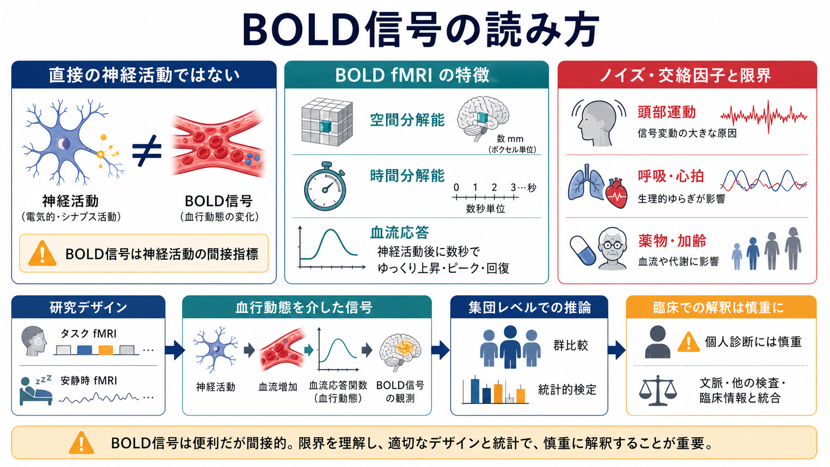 BOLD信号の研究利用と限界を比較する図