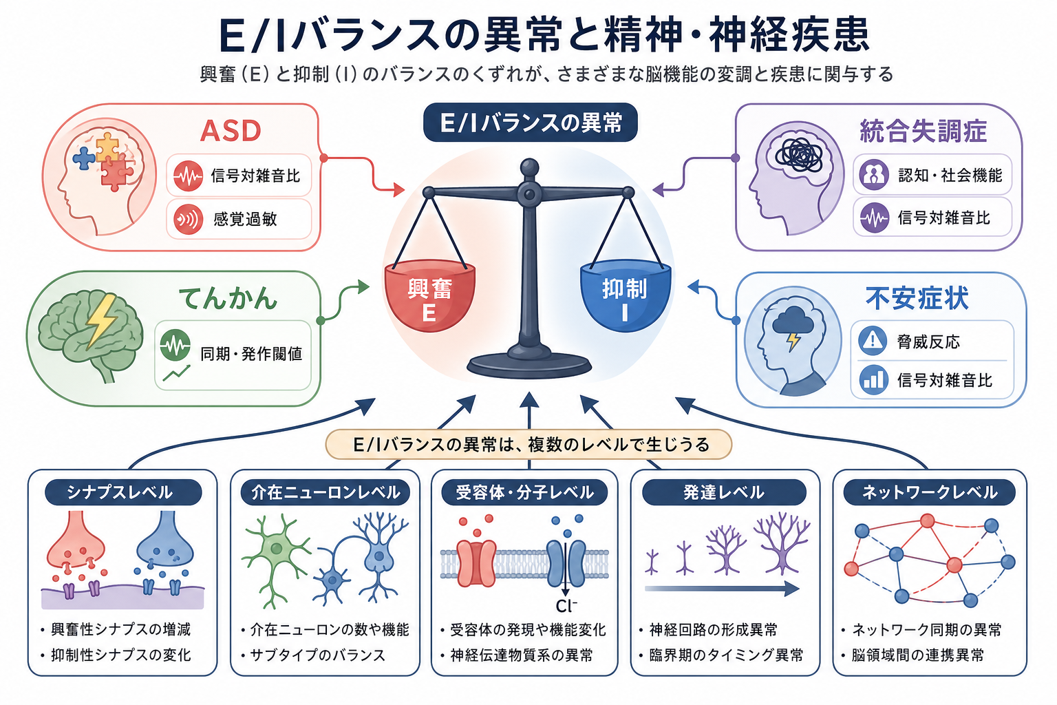 E/Iバランス異常と精神疾患の概念地図