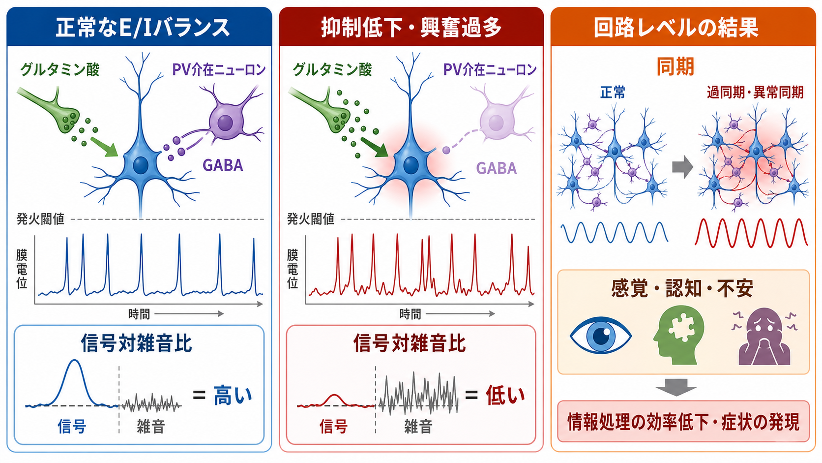 E/Iバランス異常が情報処理を変える仕組み