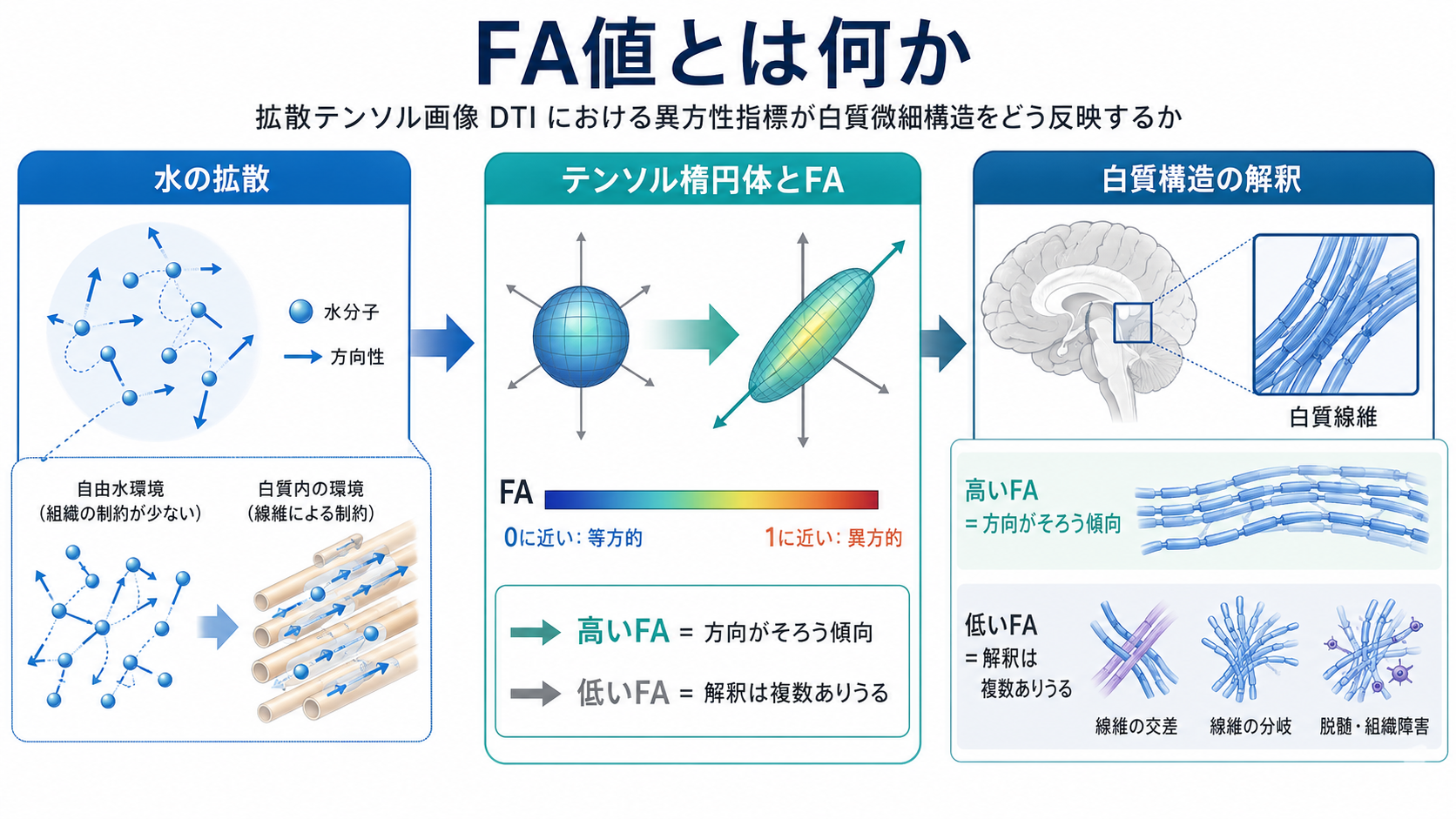 FA値の概念地図