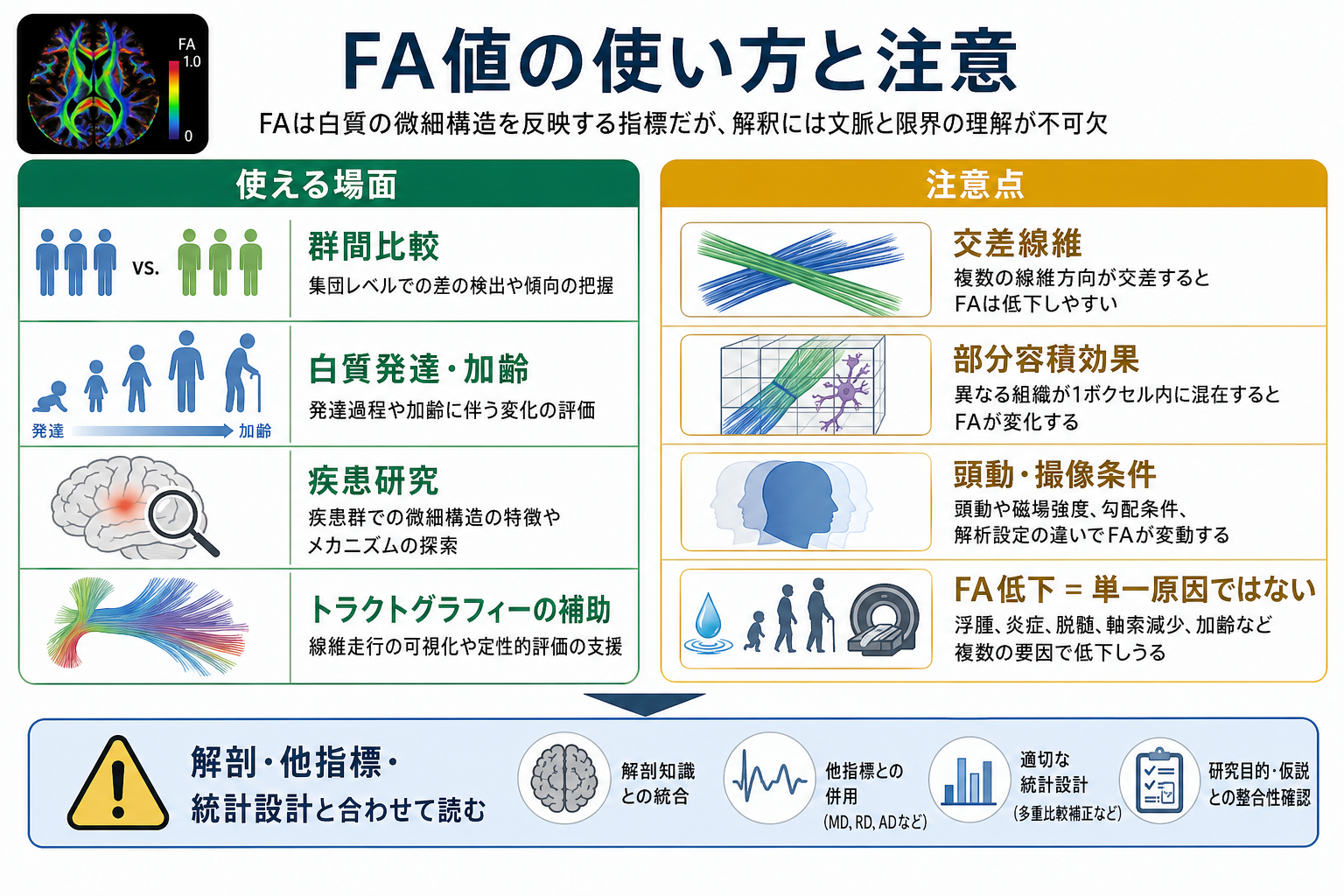 FA値の研究利用と解釈上の注意