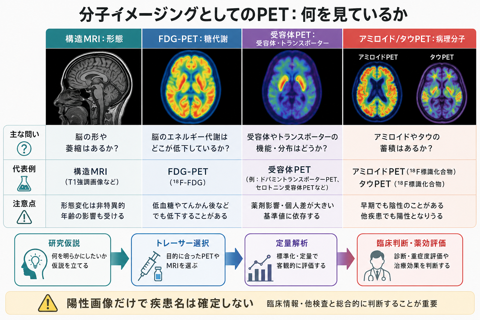 FDG-PETの応用領域の比較