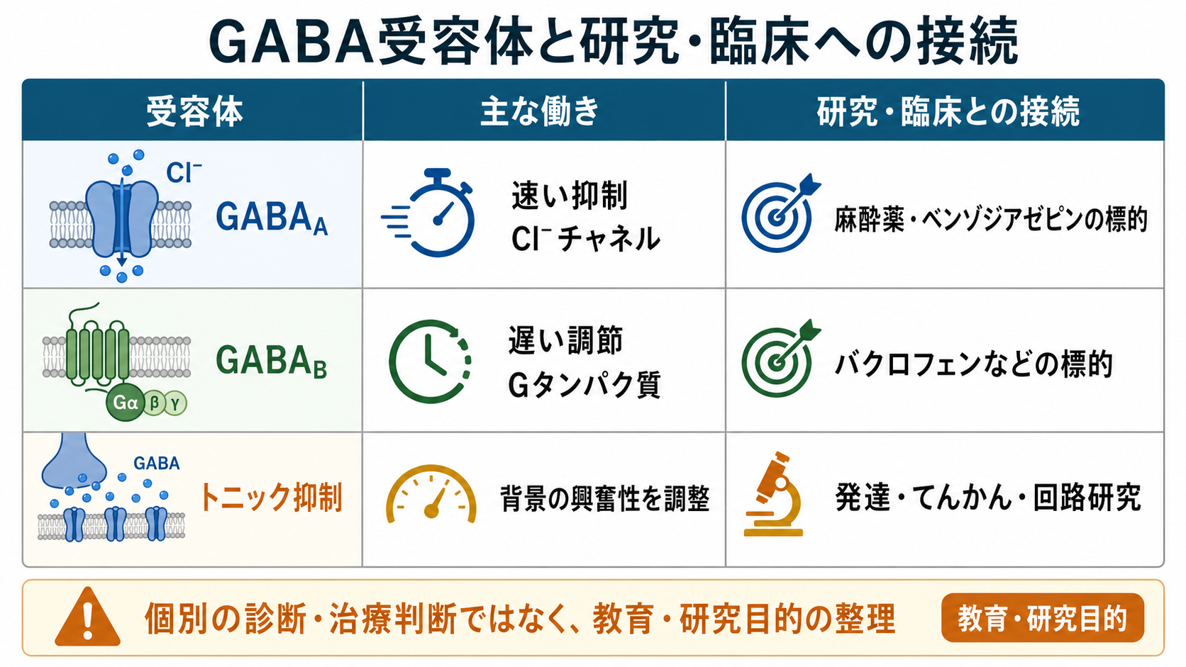 GABA受容体と研究・臨床への接続
