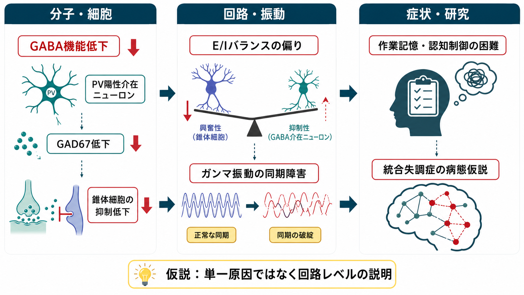 GABA機能低下と統合失調症の概念地図