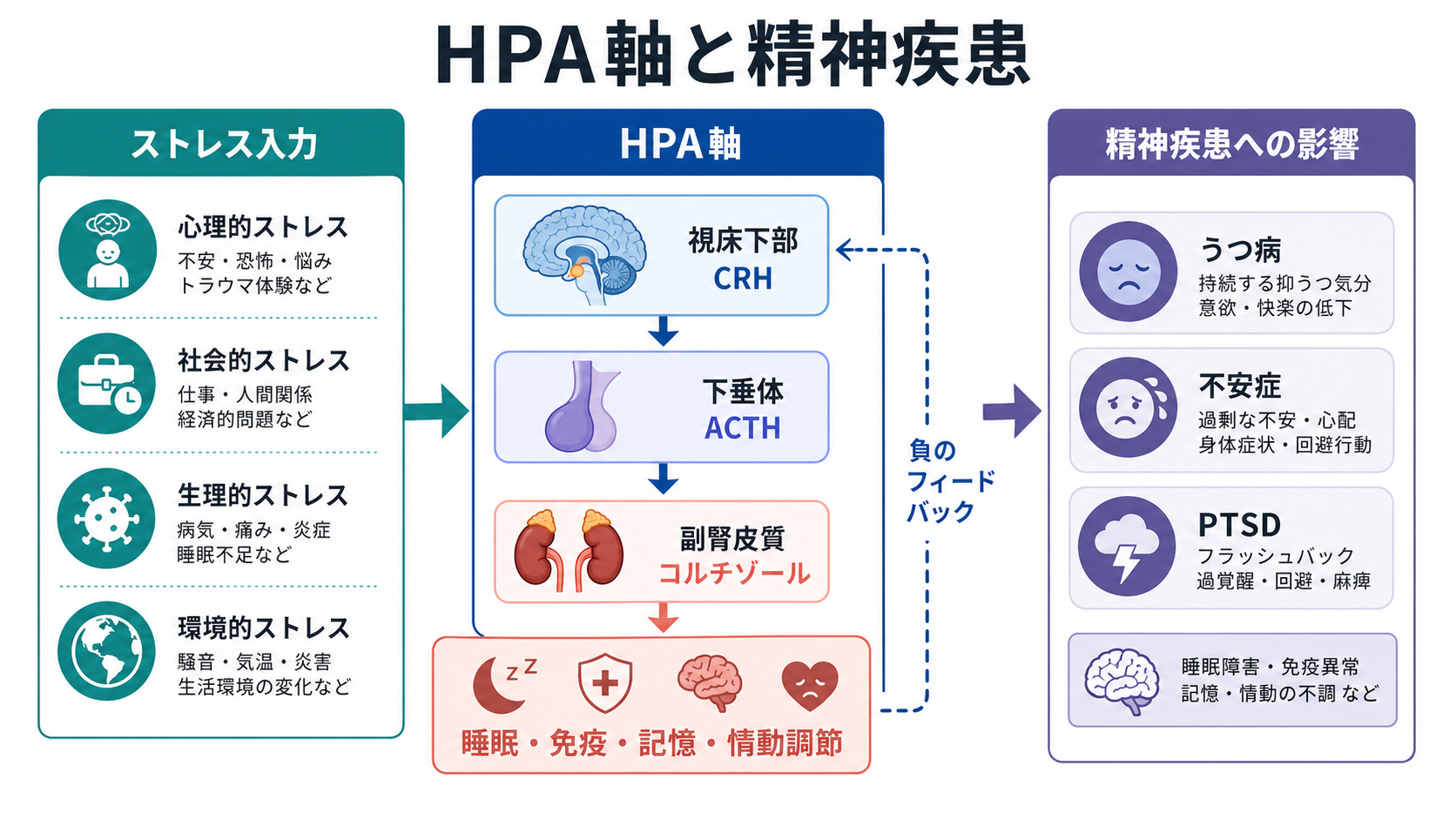 HPA軸と精神疾患の概念地図