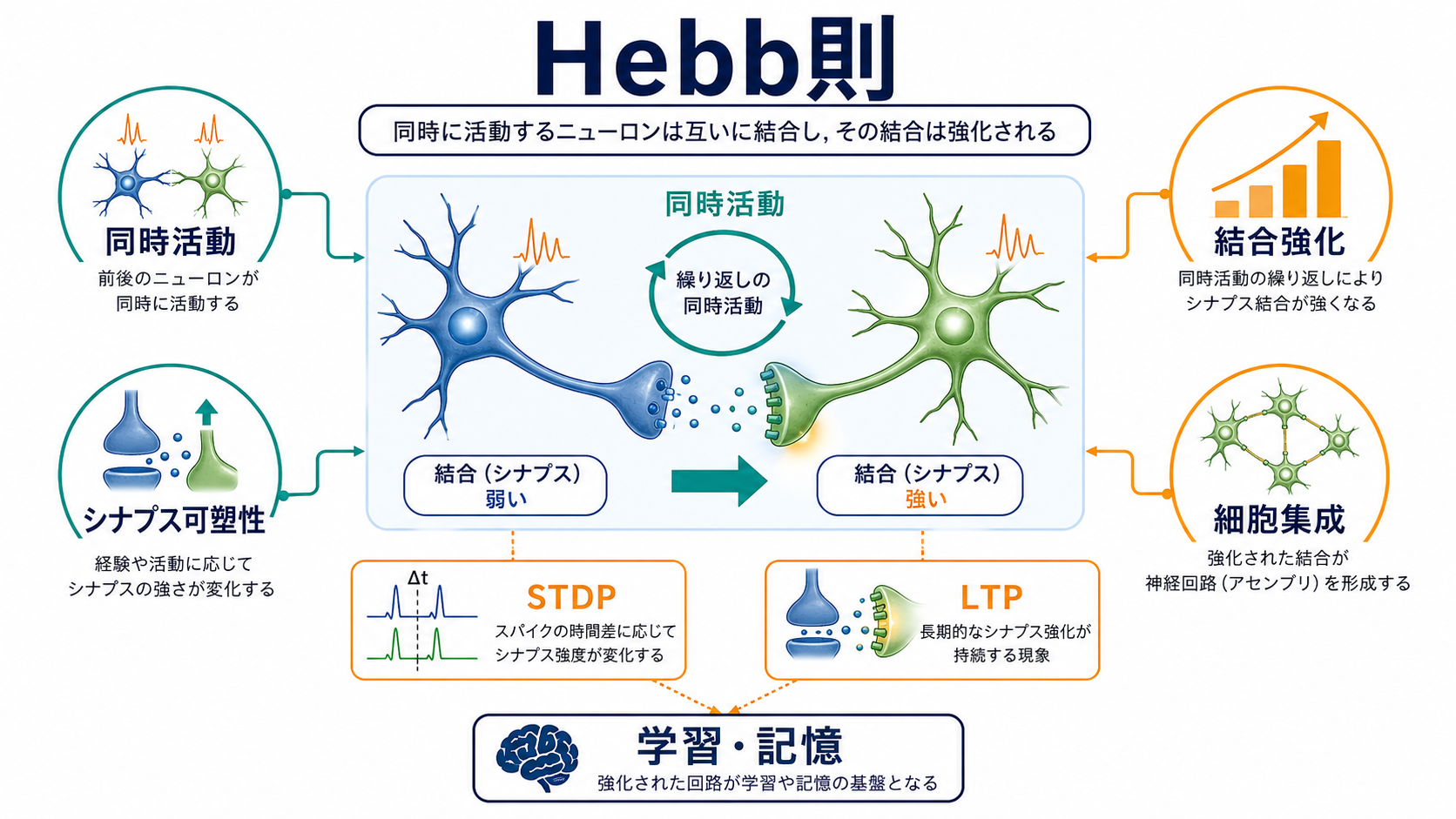 Hebb則の概念地図