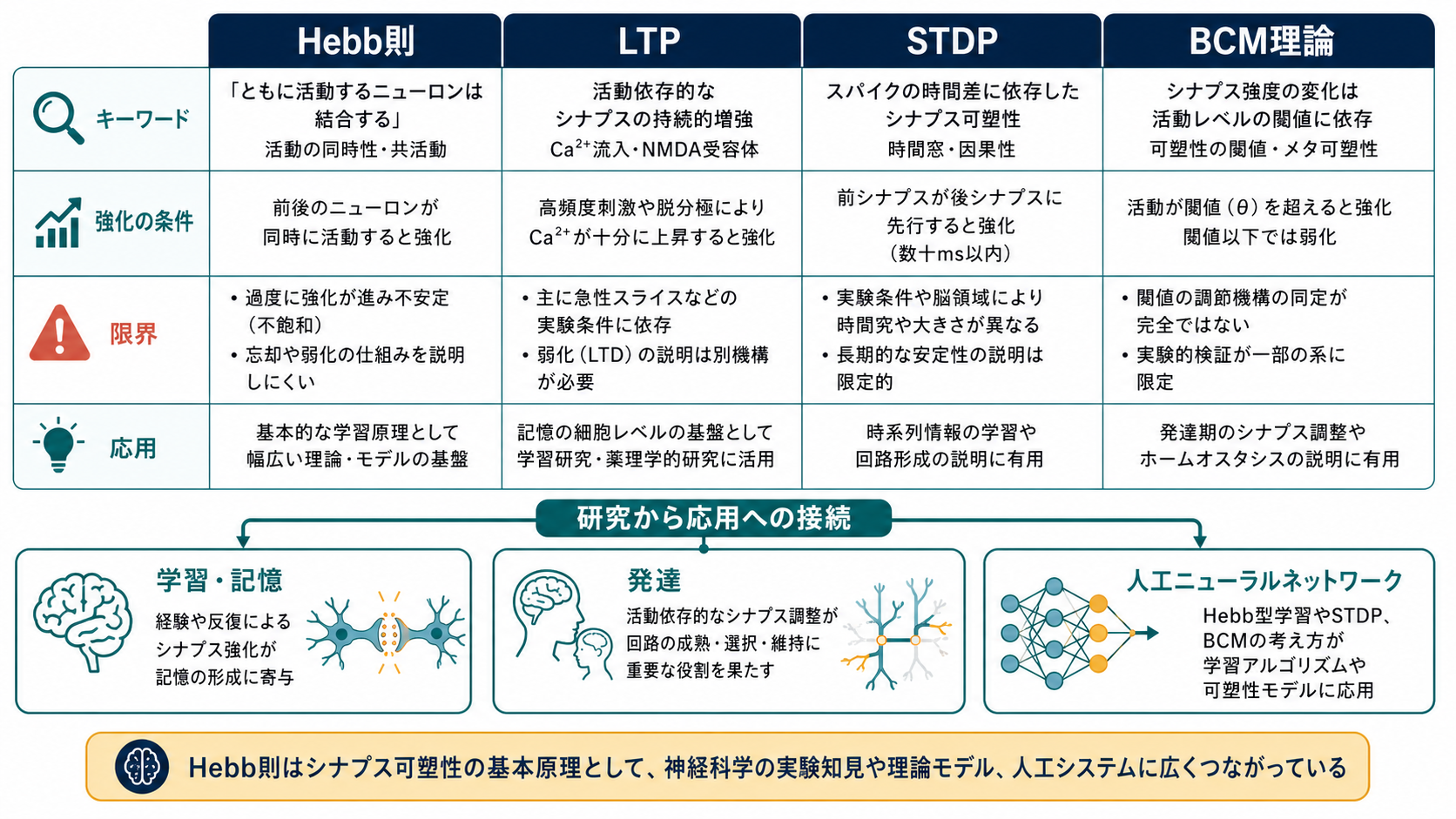 Hebb則と関連概念の比較