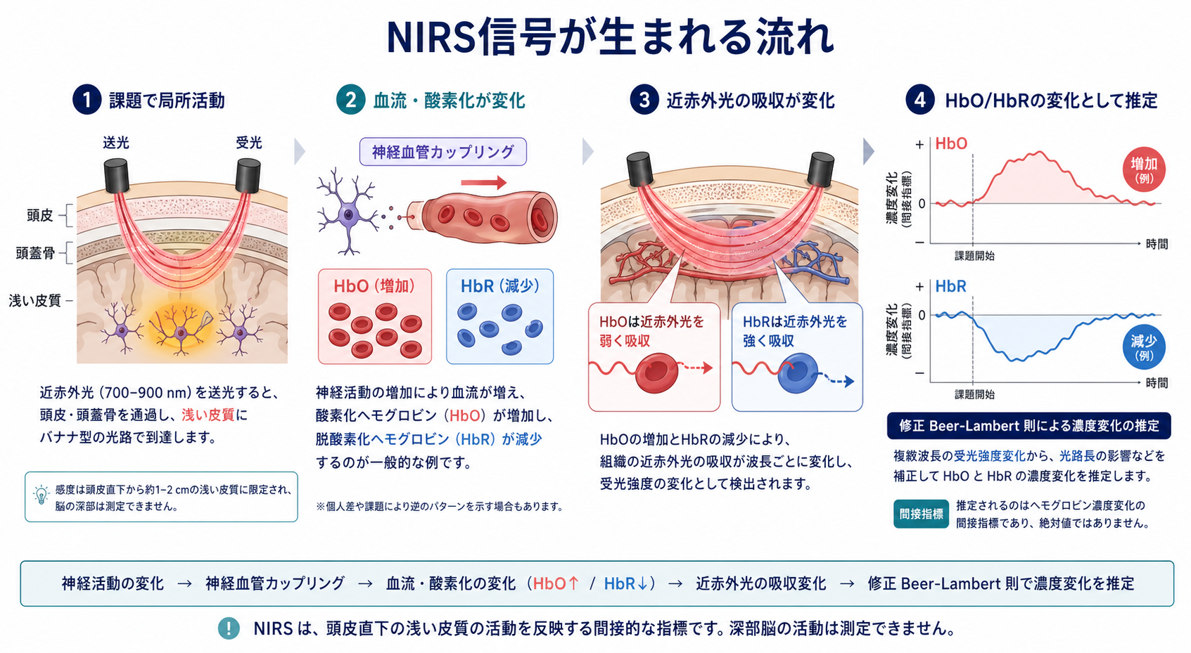 NIRS信号が生まれるメカニズム