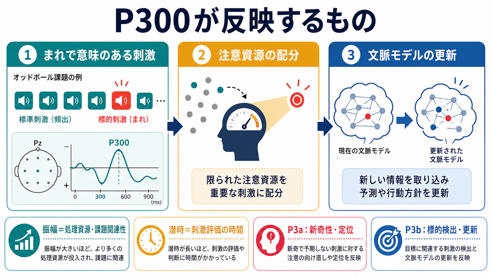 P300が反映する認知過程