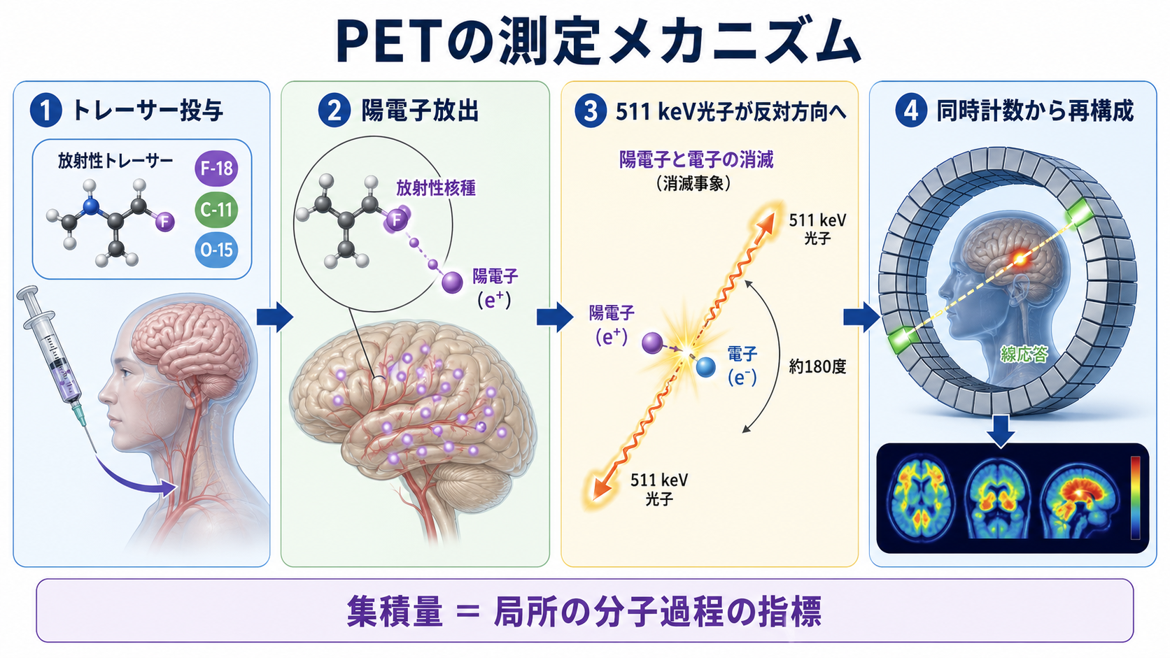 PETで陽電子放出から画像再構成までを行う流れ