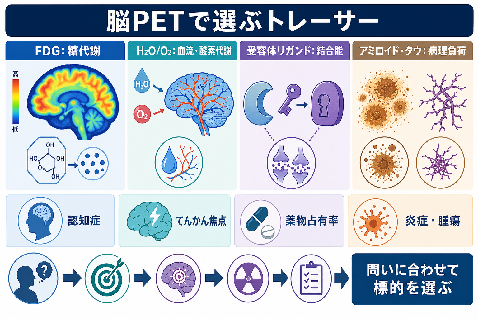 脳PETトレーサーの種類と臨床・研究応用
