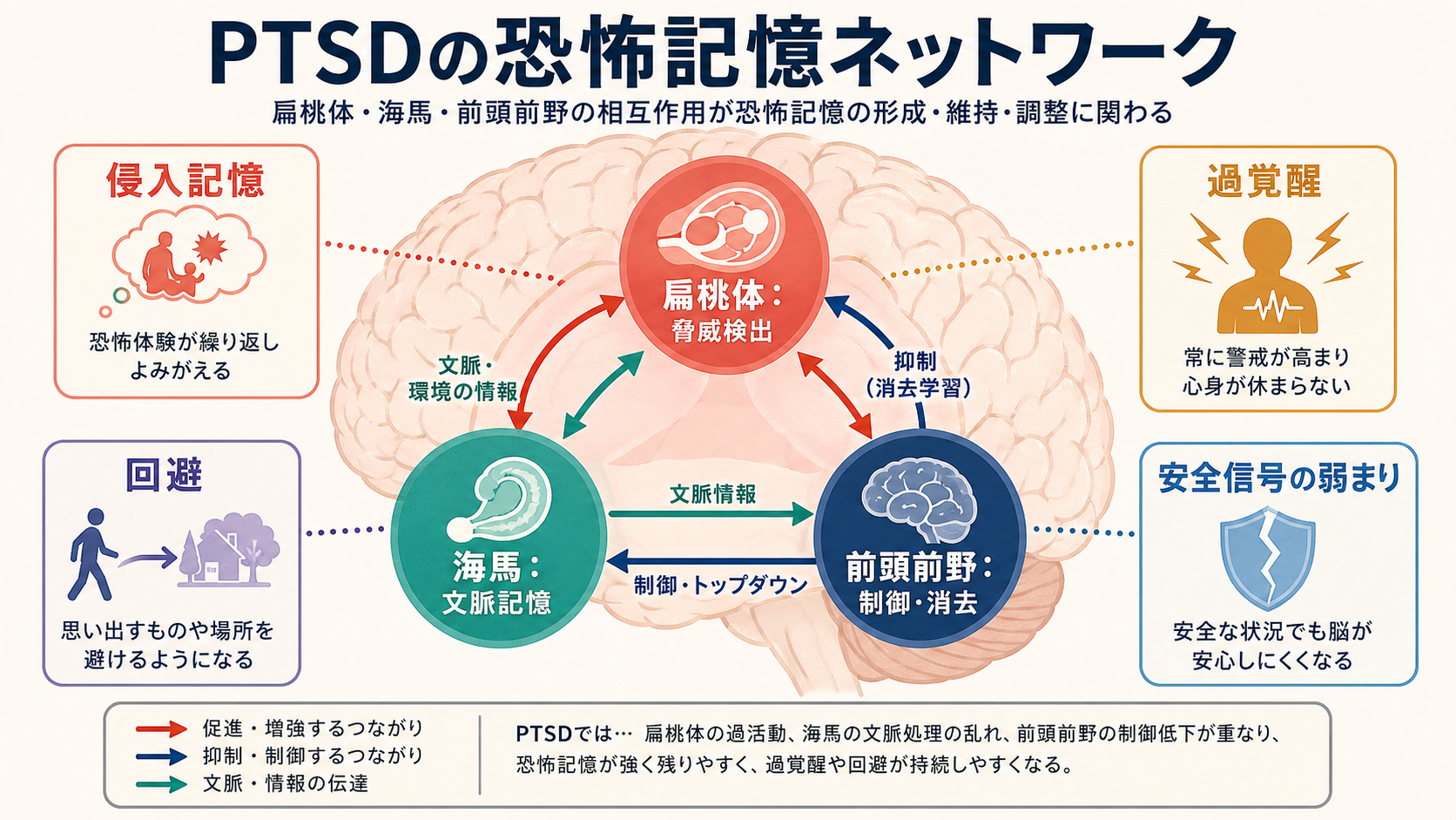 PTSDの恐怖記憶ネットワーク概念地図