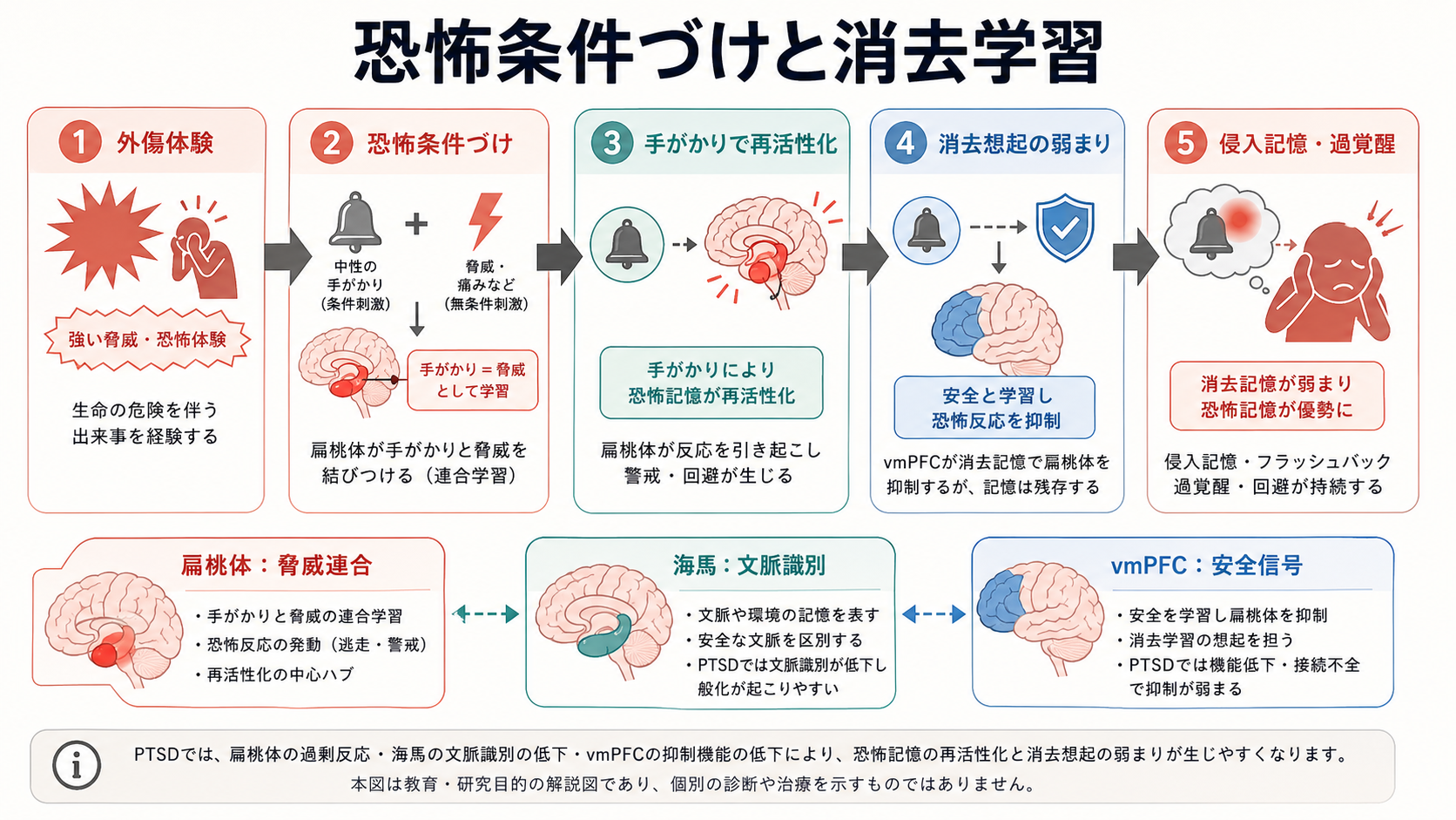 PTSDにおける恐怖条件づけと消去学習