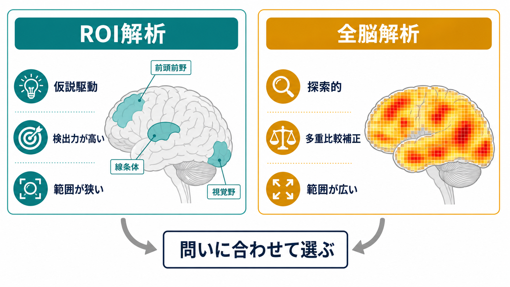 ROI解析と全脳解析の概念地図