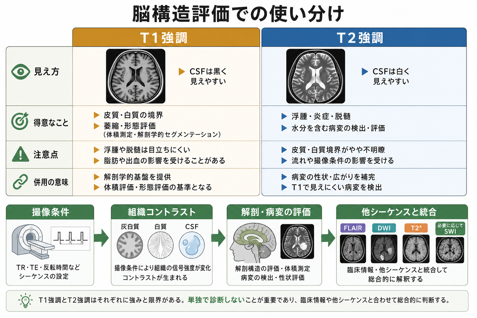 脳構造評価におけるT1強調とT2強調の使い分け