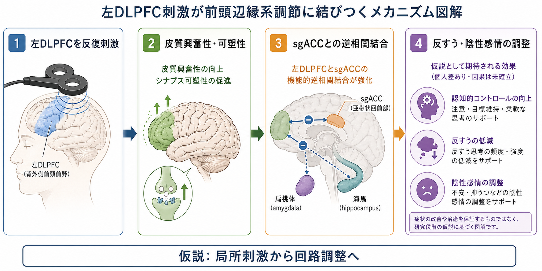 左DLPFC刺激から前頭辺縁系調整への流れ