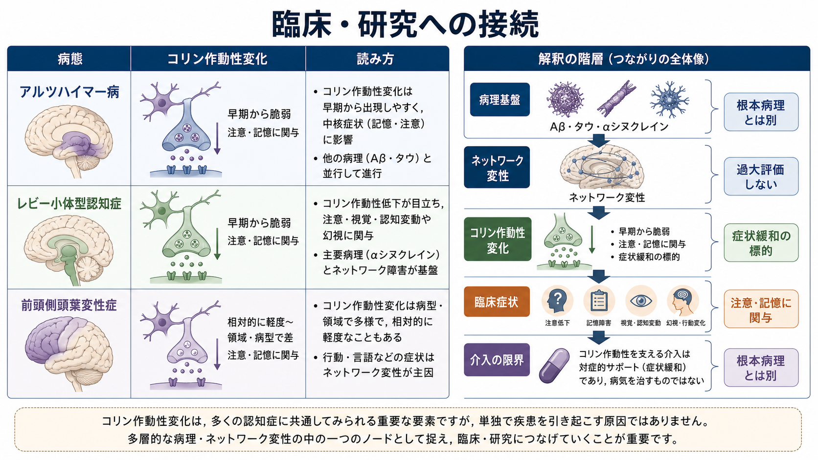 アセチルコリン系と認知症の概念地図