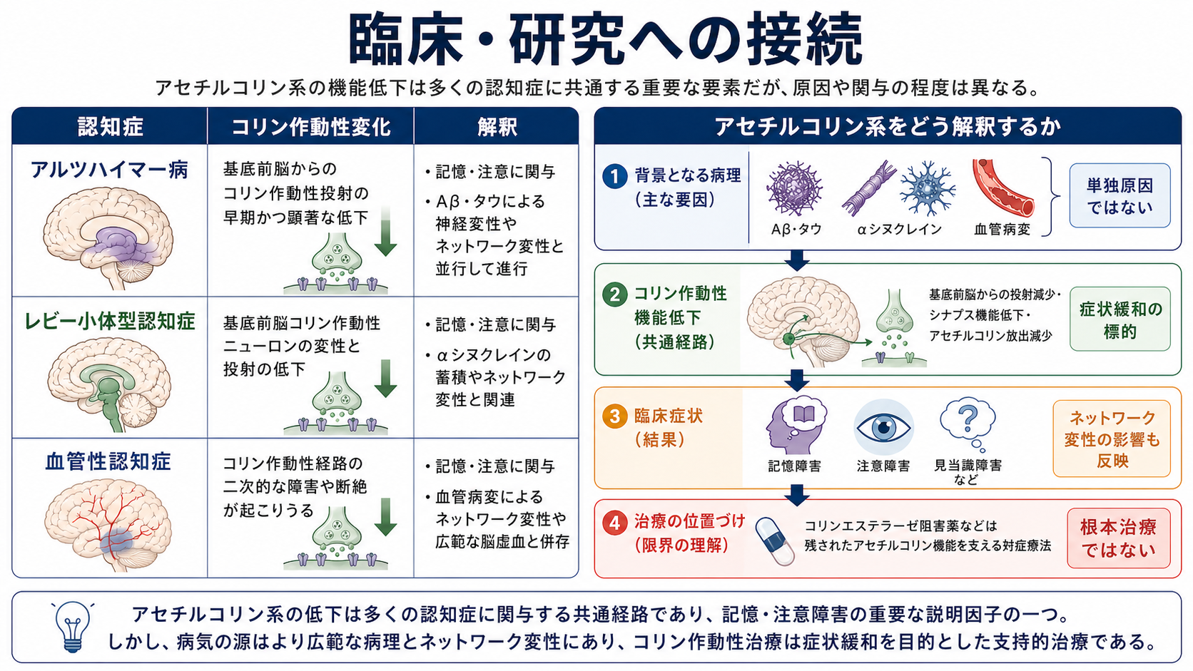 認知症タイプごとのコリン作動性変化の読み方