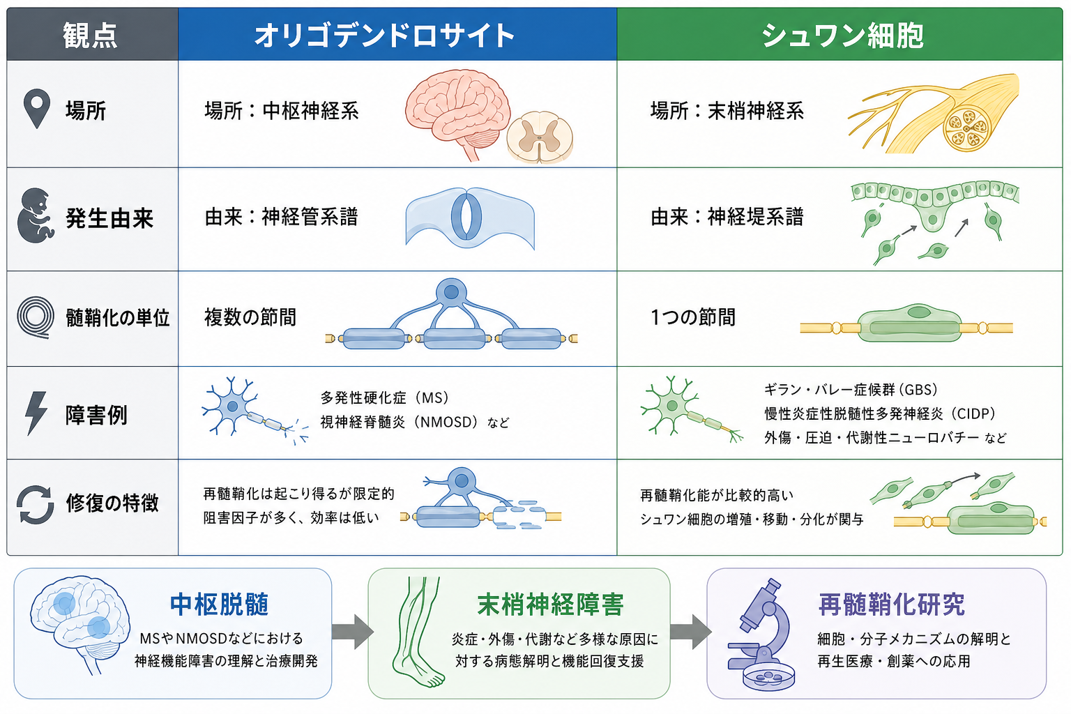 臨床と研究につながる比較表