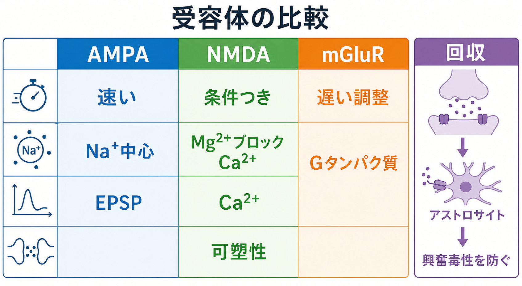 グルタミン酸受容体の比較