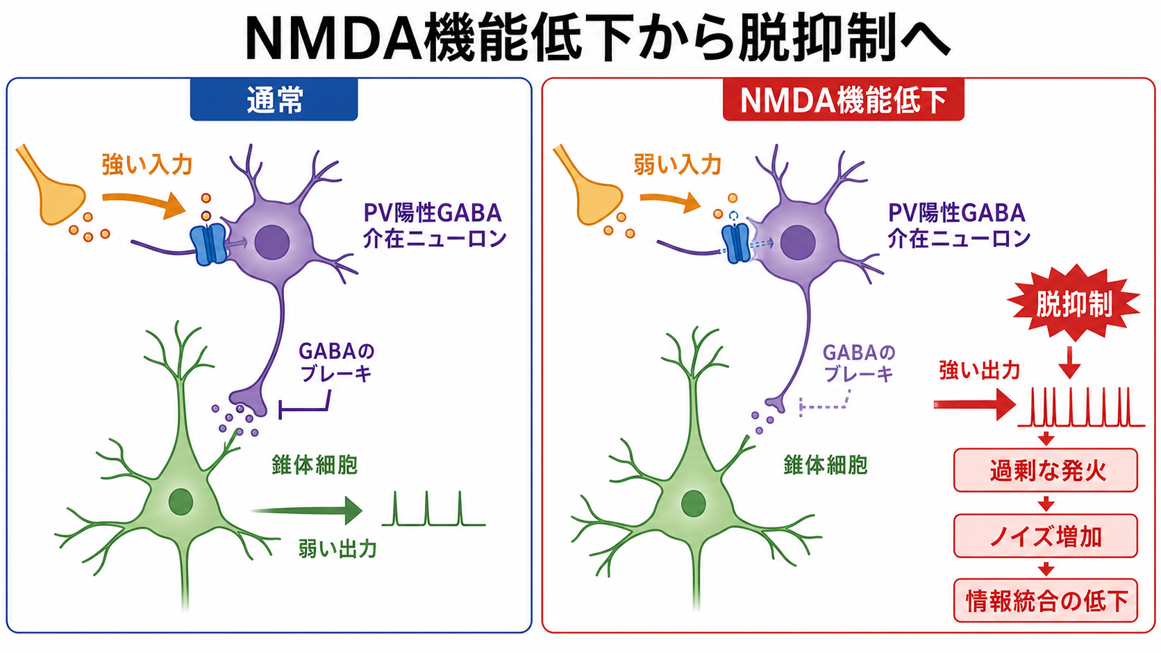 NMDA機能低下から脱抑制へ