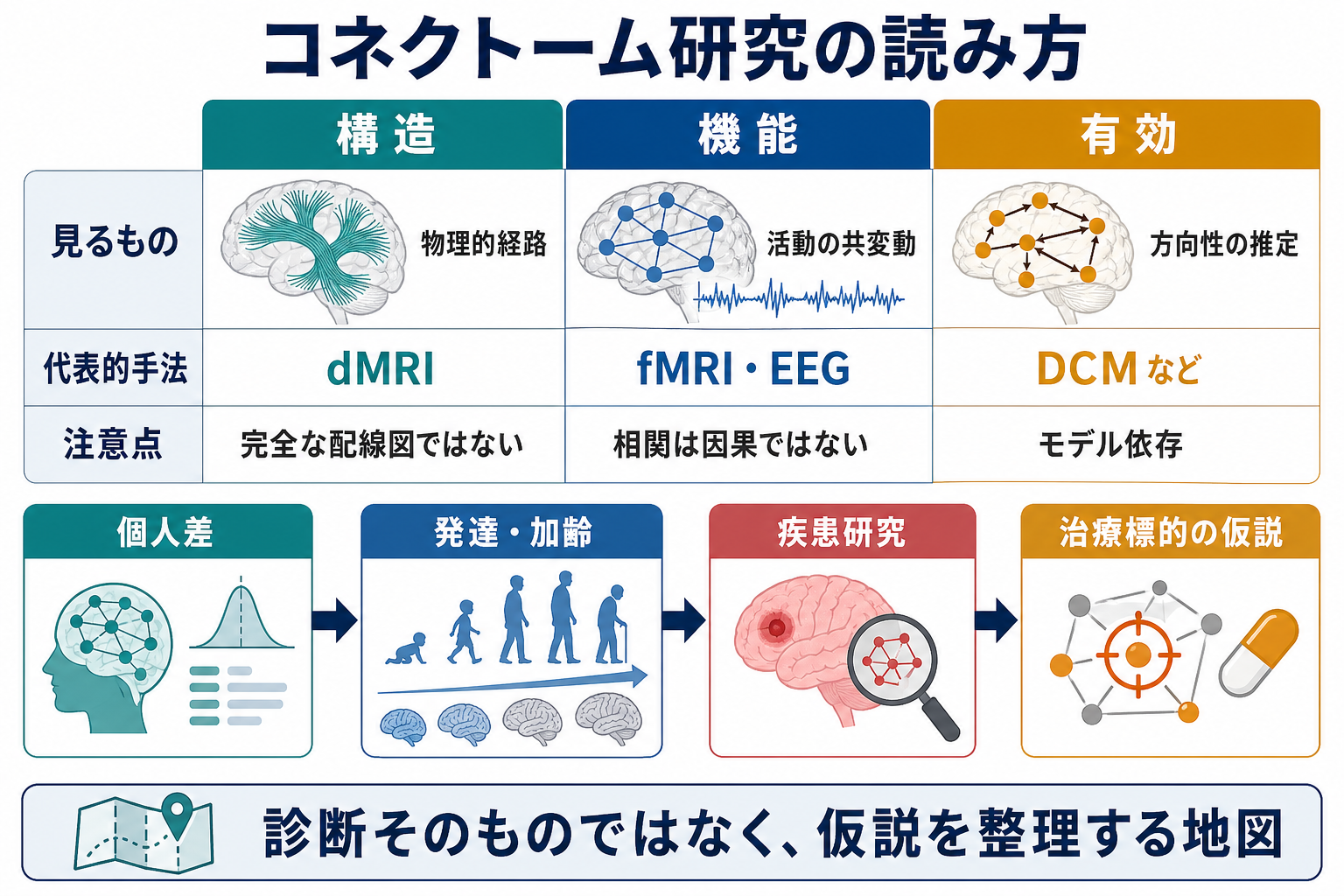 コネクトーム研究の読み方