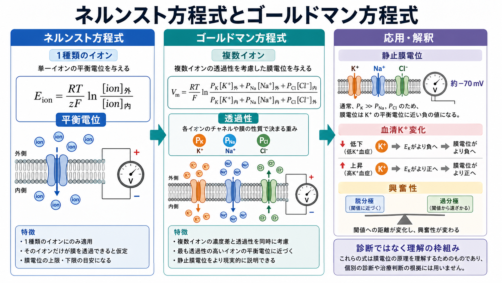 ネルンスト方程式とゴールドマン方程式の比較