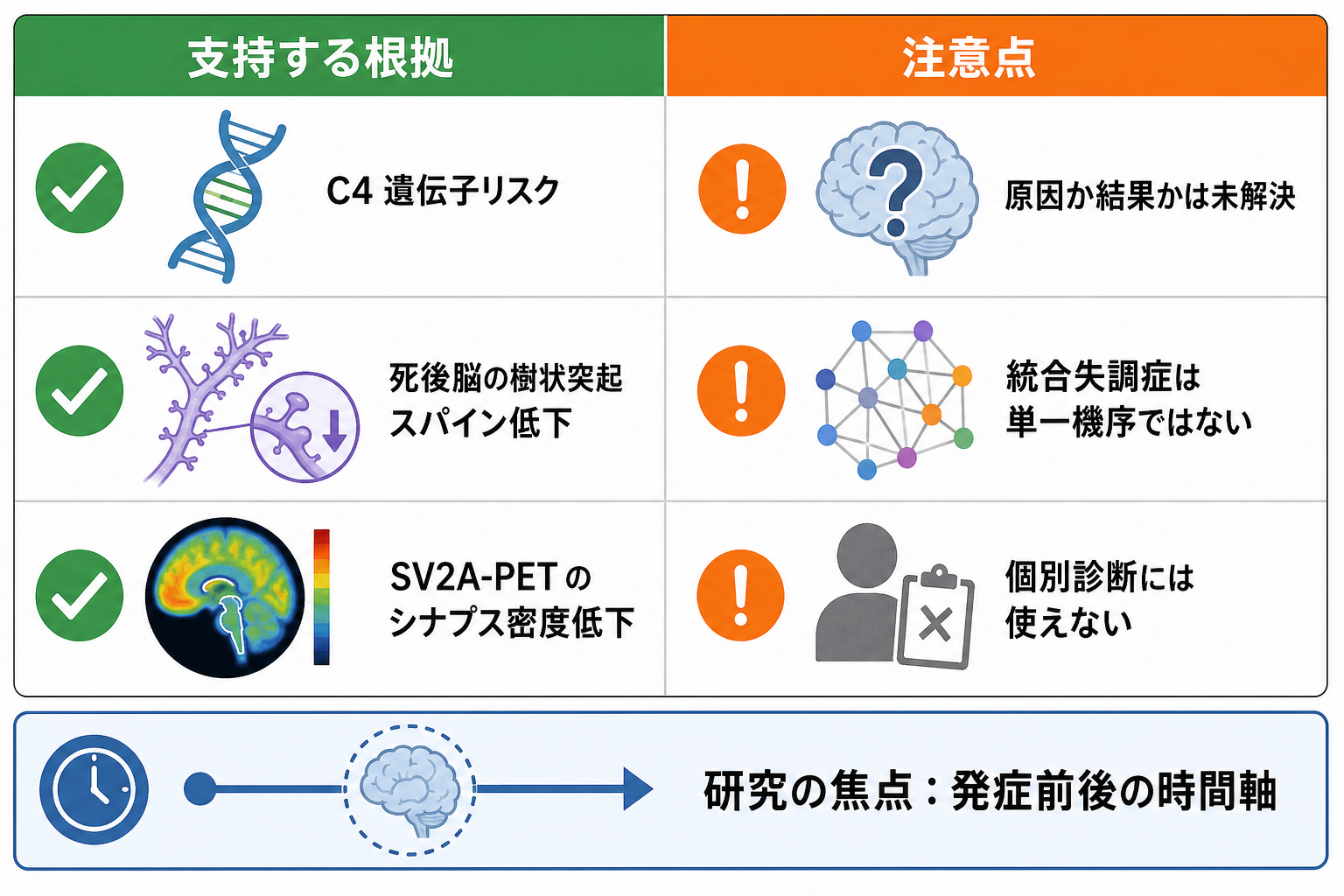 シナプス刈り込み仮説の根拠と注意点