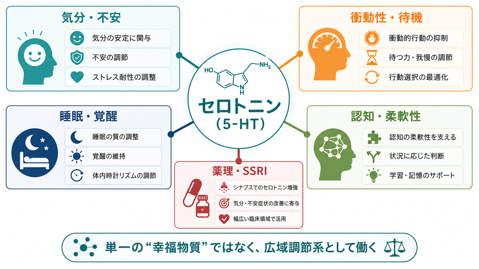 セロトニン機能の概念地図