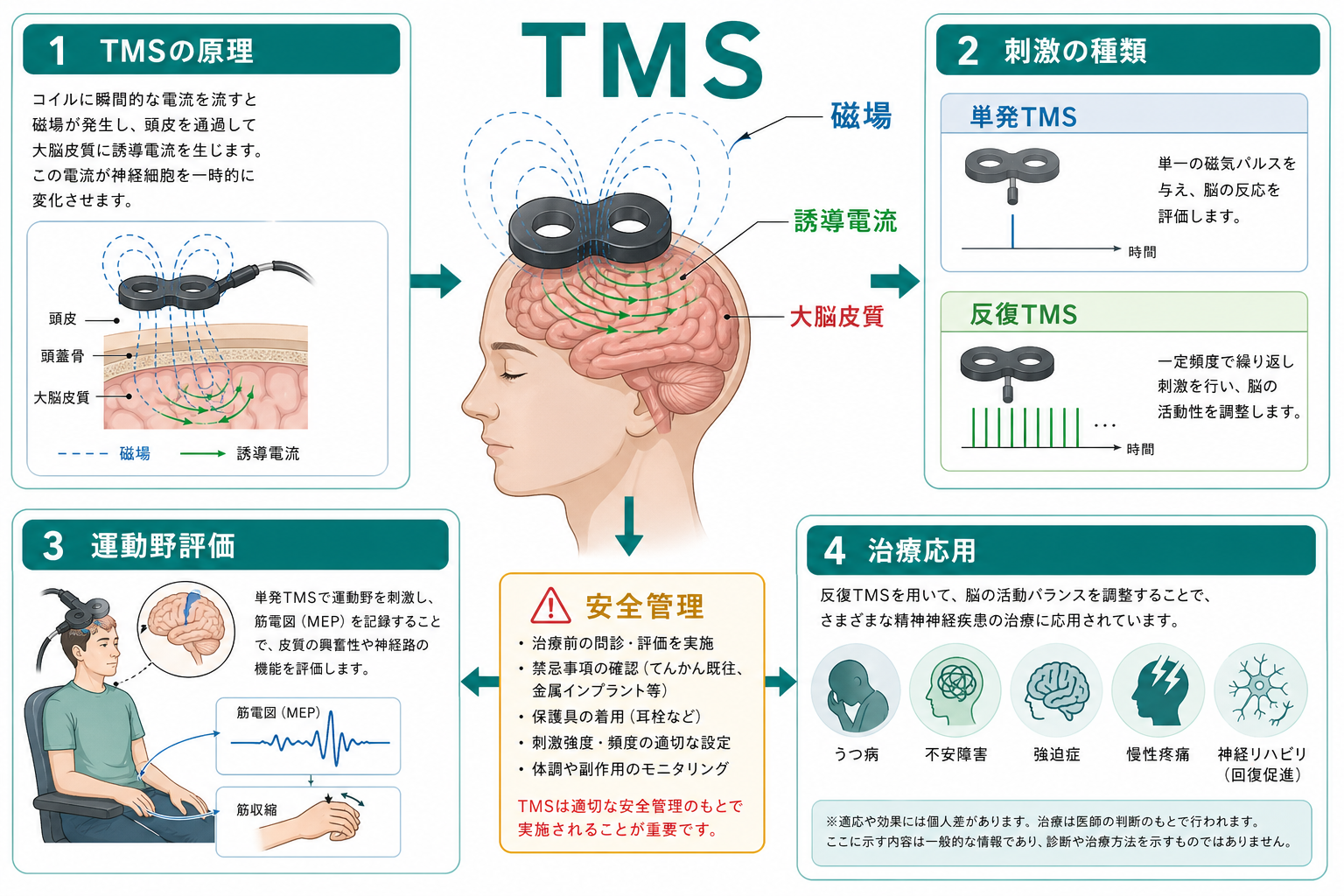 TMSの全体像