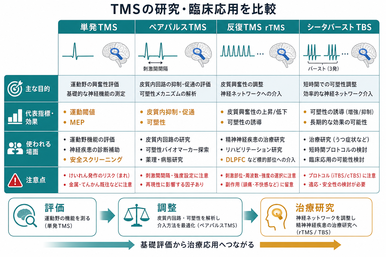 TMSの研究と臨床応用の比較