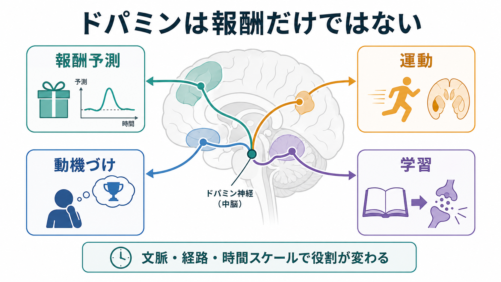 ドパミン機能の概念地図