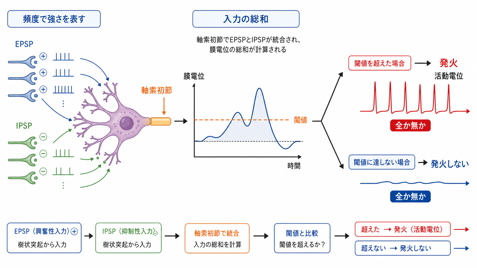 閾値による発火判定