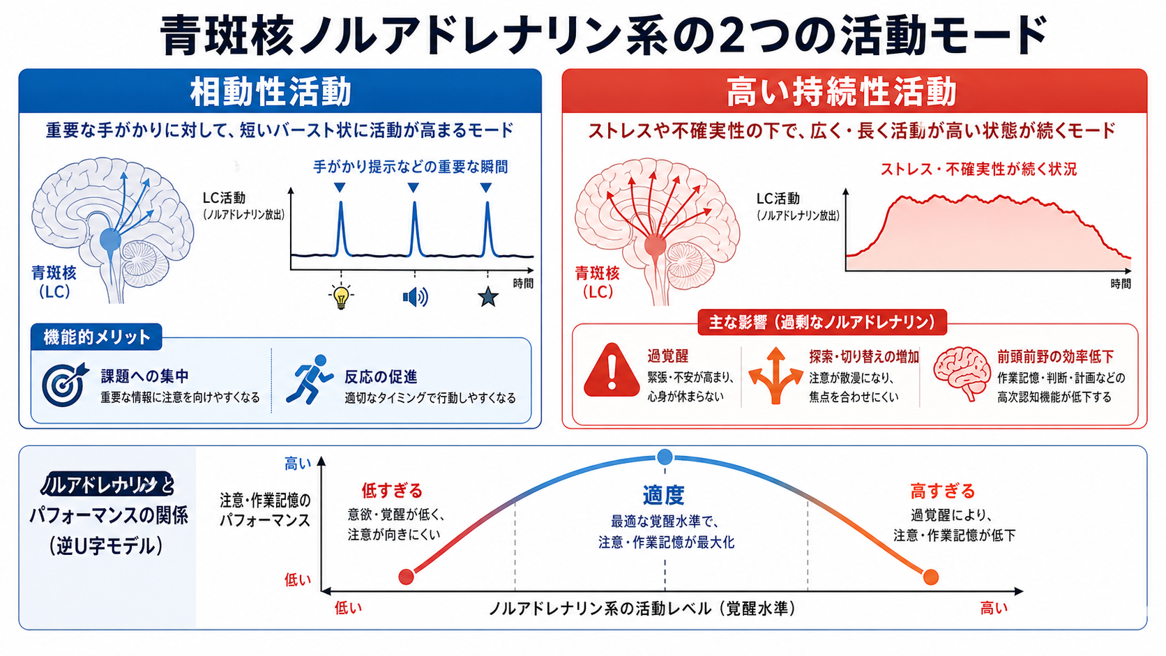 青斑核ノルアドレナリン系の活動モード