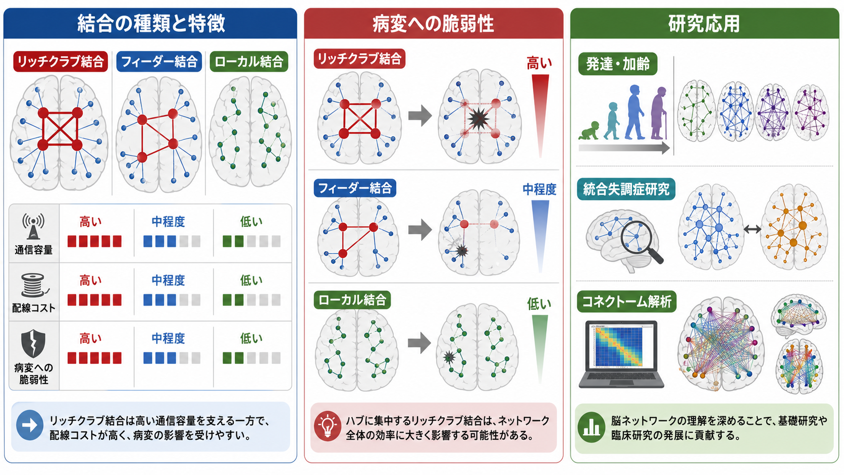 ハブ結合の種類と研究応用