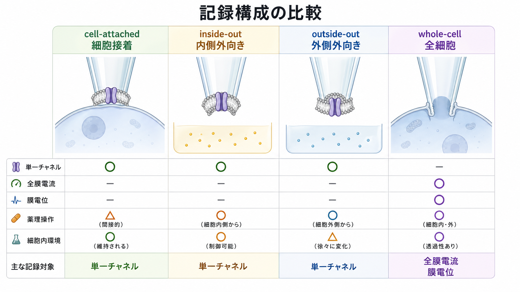 パッチクランプの記録構成の比較