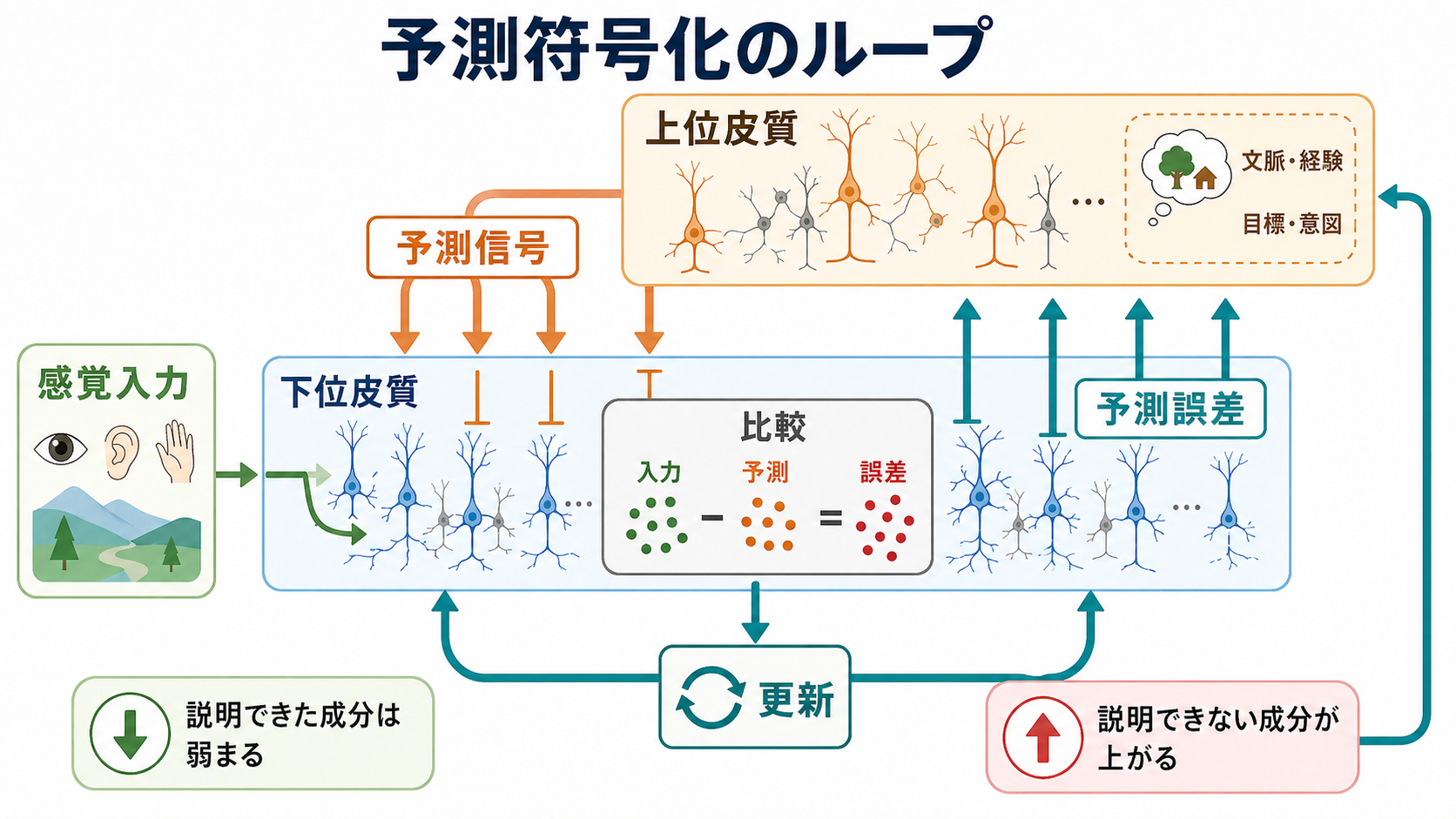 予測符号化におけるフィードバック回路