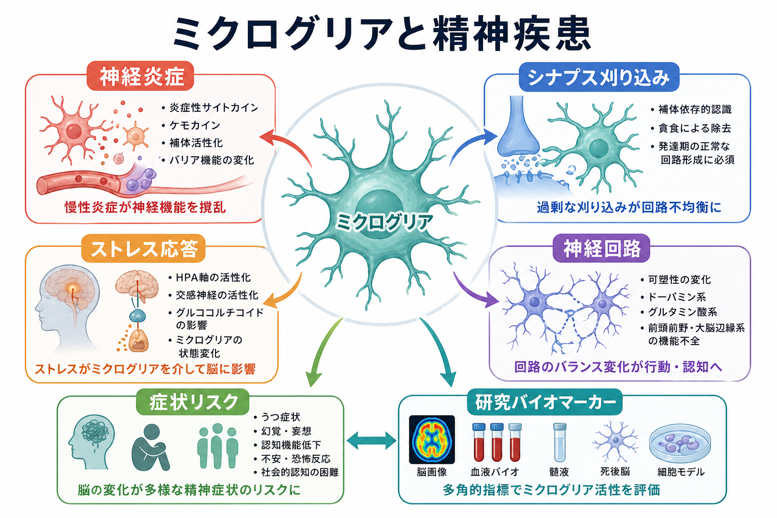 ミクログリアと精神疾患の概念地図