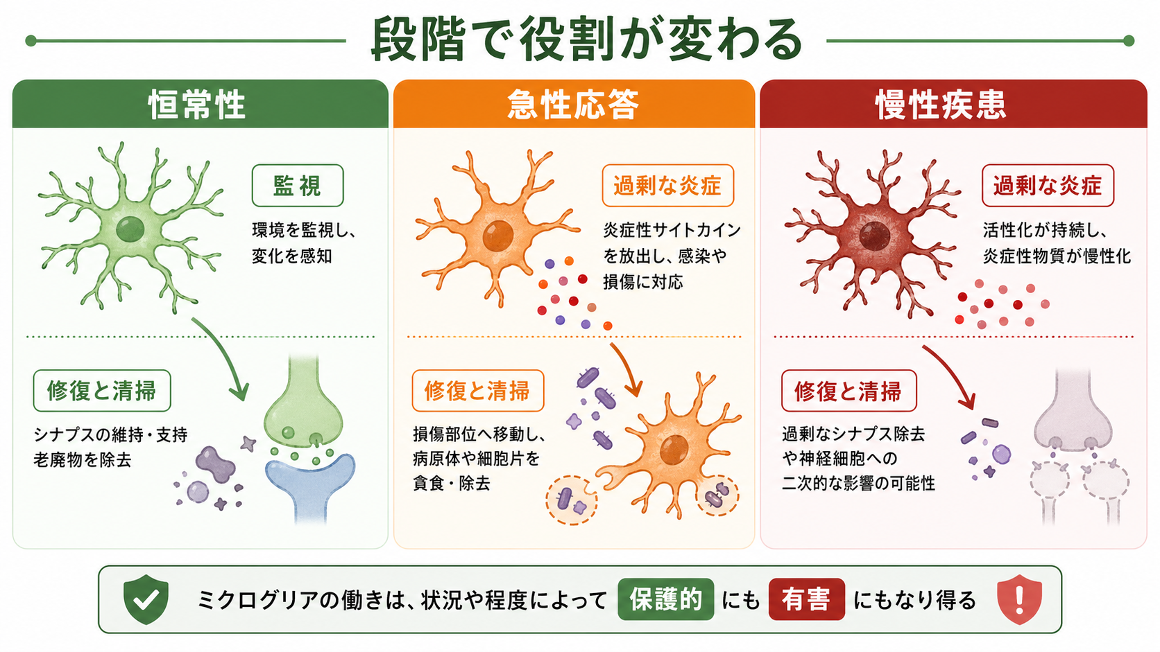 ミクログリアの状態と疾患文脈の比較