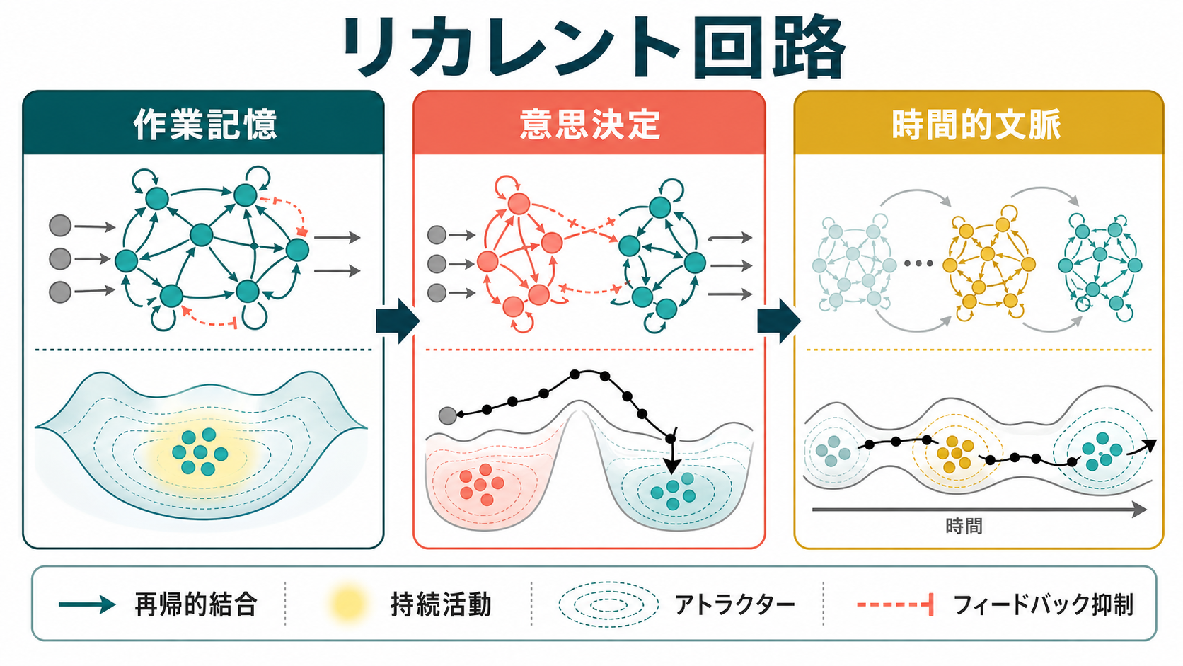 リカレント回路の概念地図