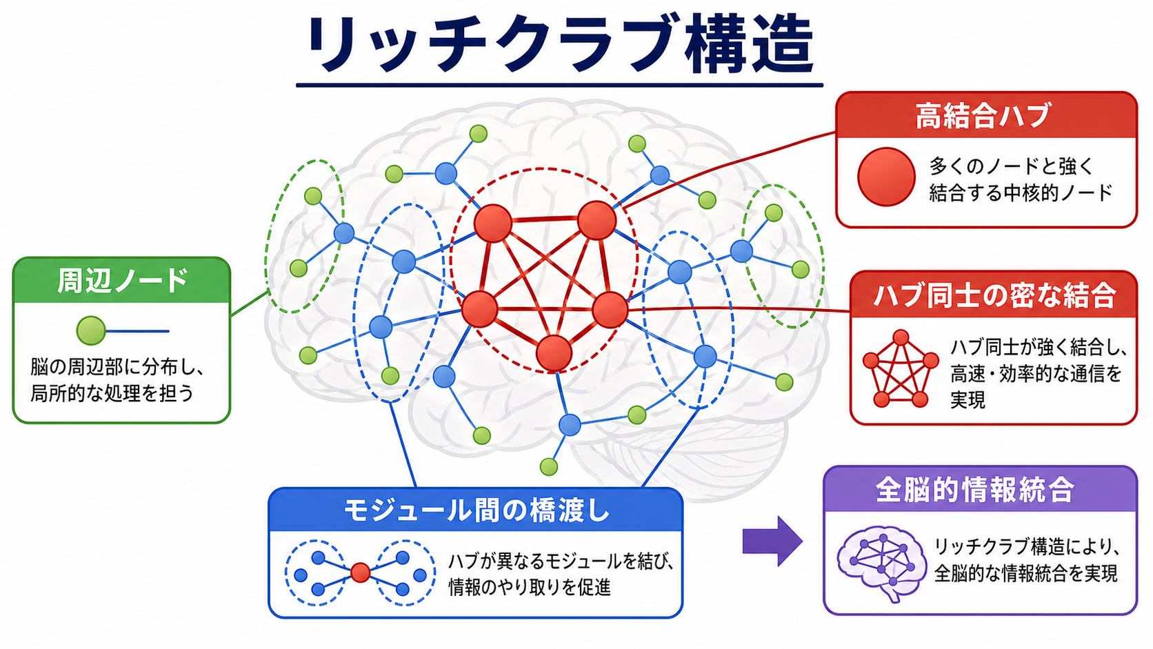 リッチクラブ構造の概念地図