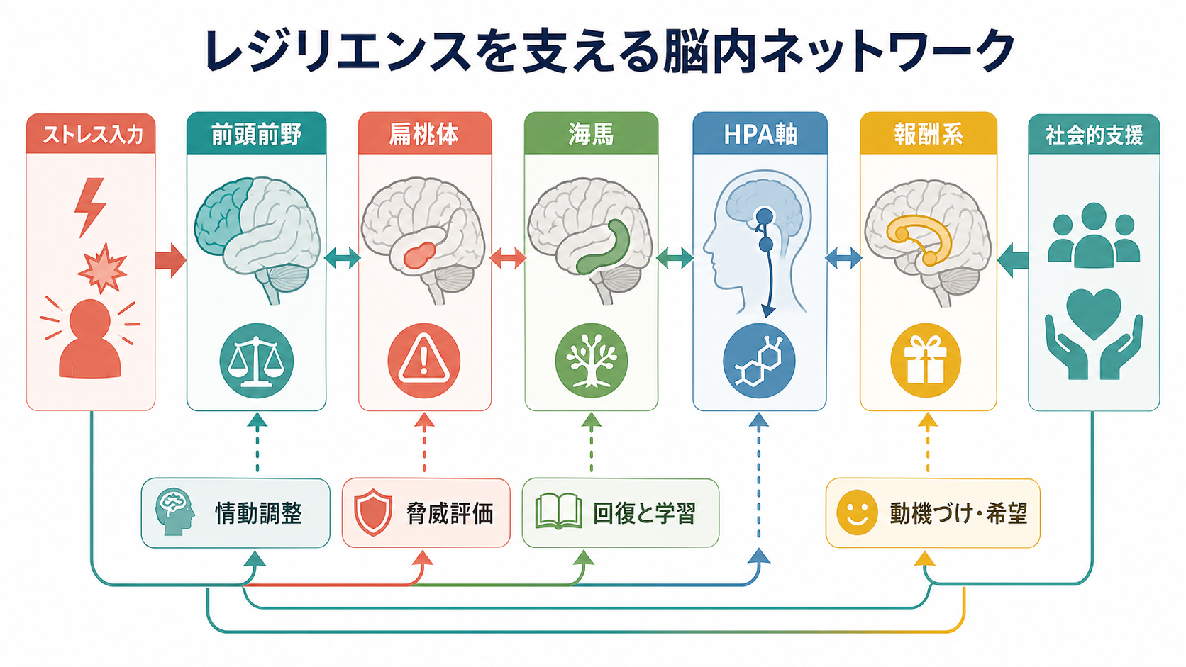 レジリエンスを支える脳内ネットワーク