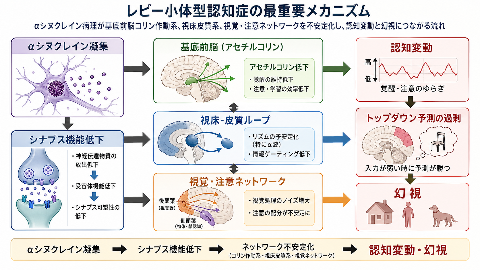 αシヌクレイン病理から認知変動と幻視へ至る機序