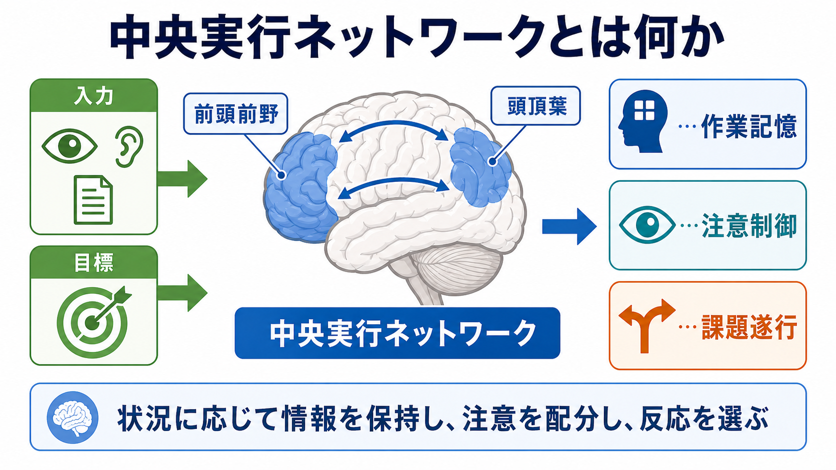 中央実行ネットワークの概念地図