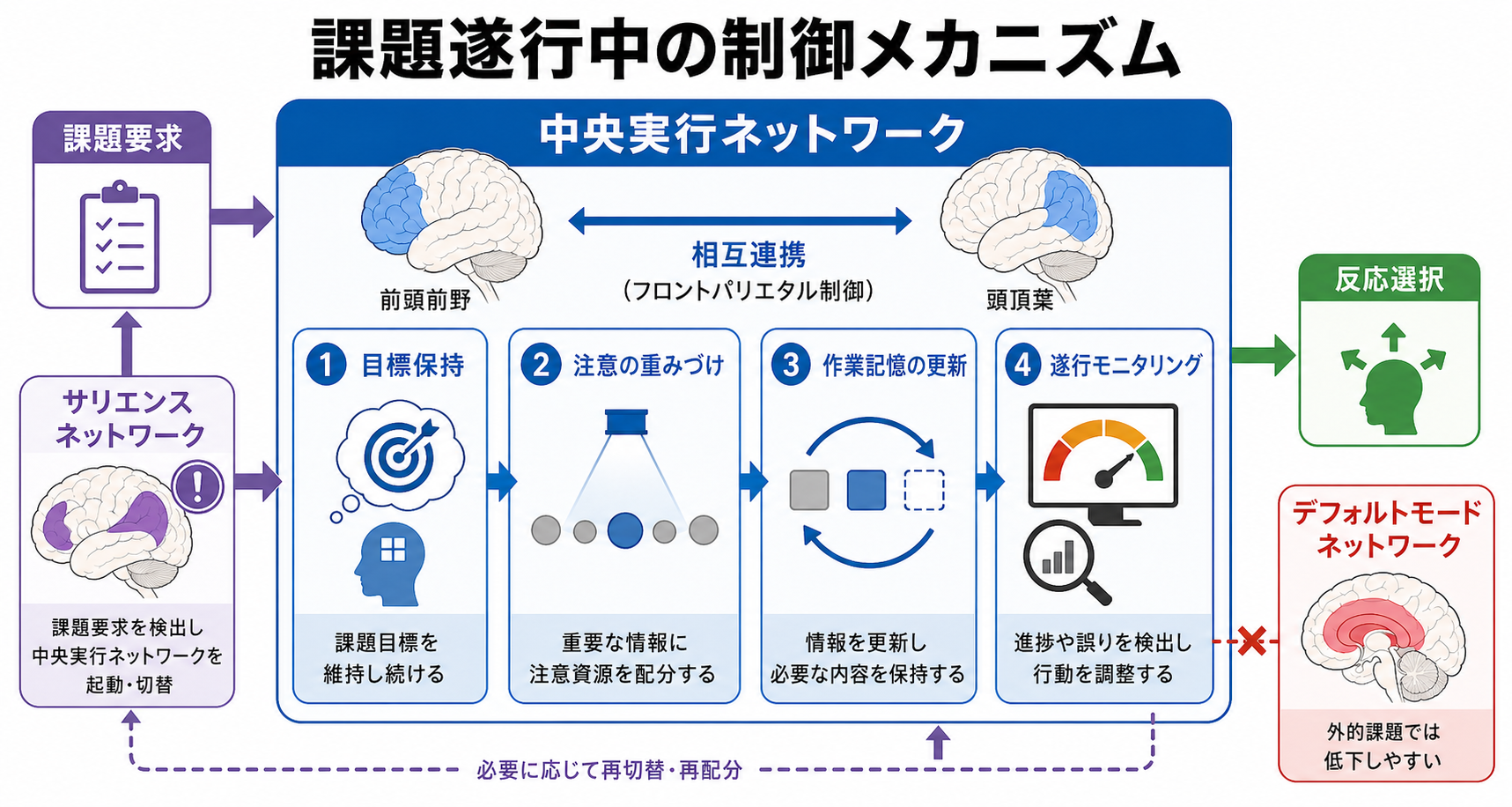 中央実行ネットワークの制御メカニズム