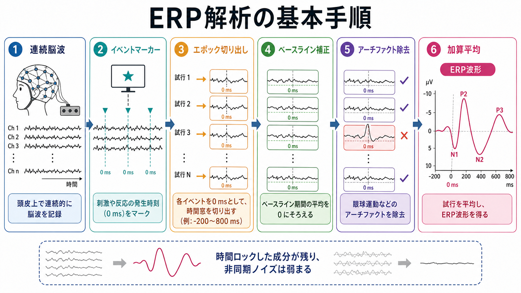 ERP解析の基本手順