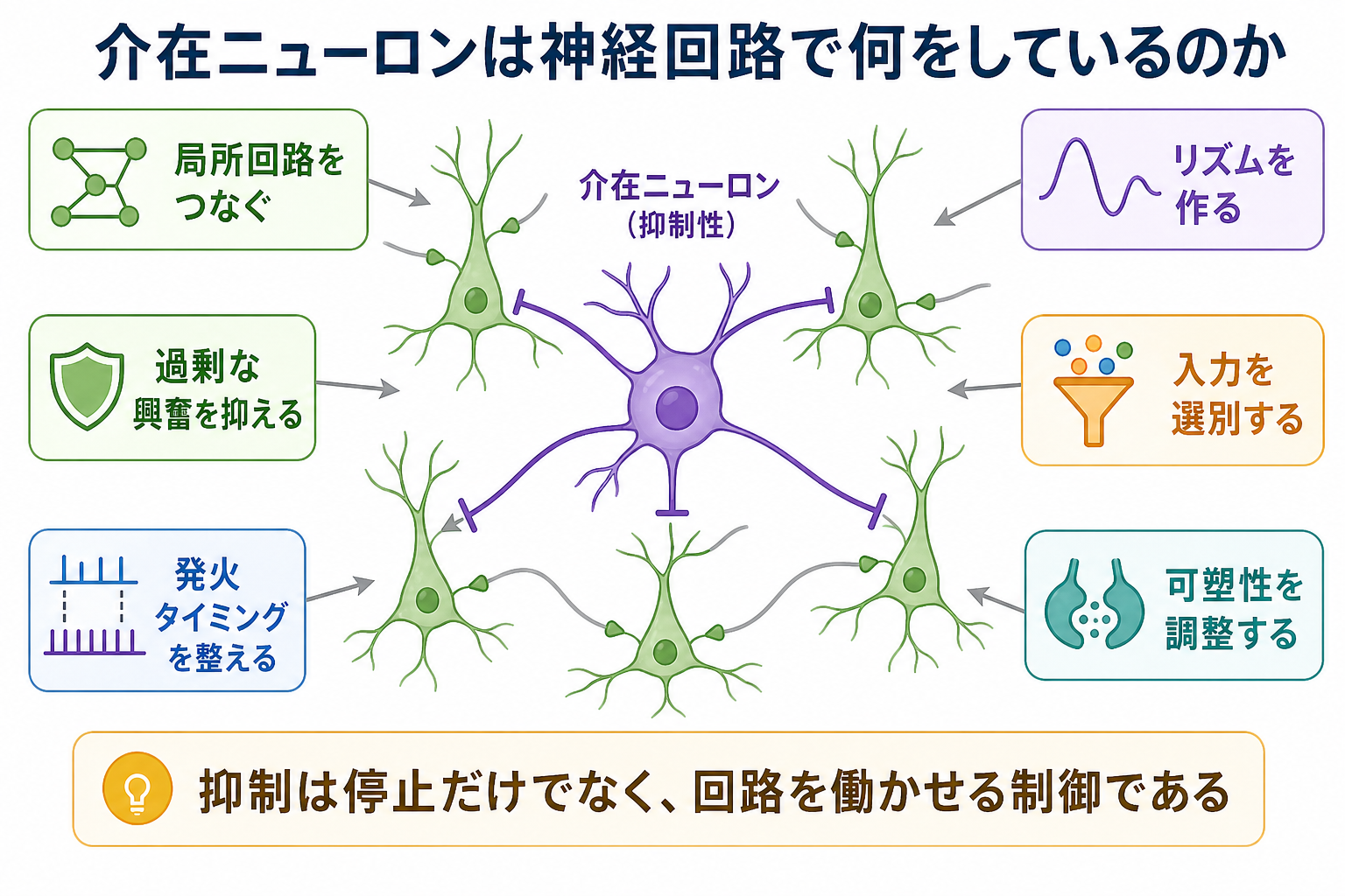 介在ニューロンの概念地図