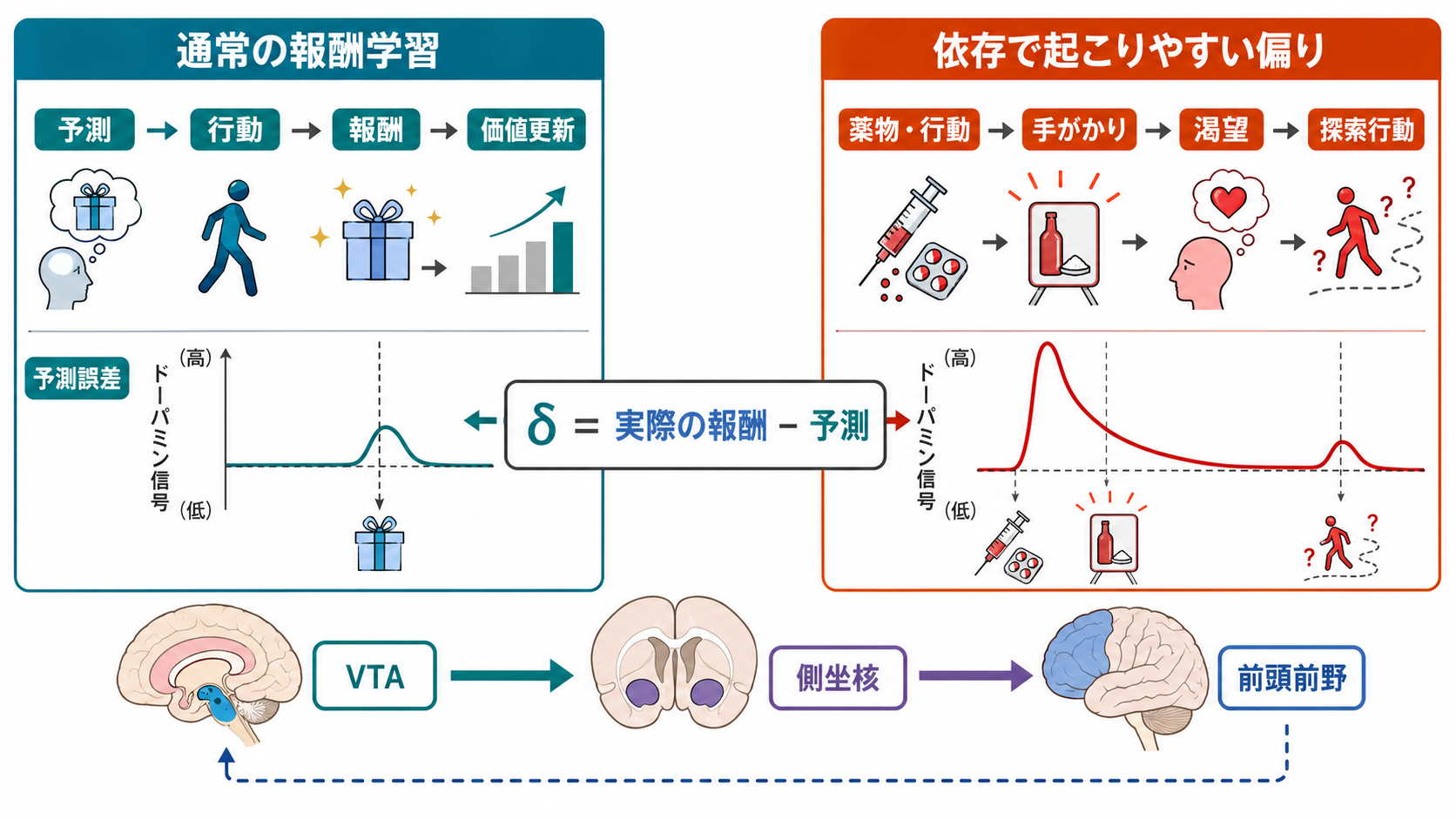 報酬予測誤差と手がかり渇望のメカニズム