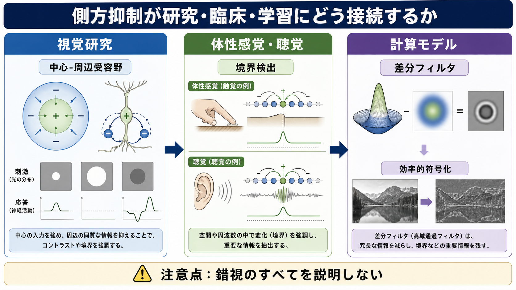 側方抑制の全体像
