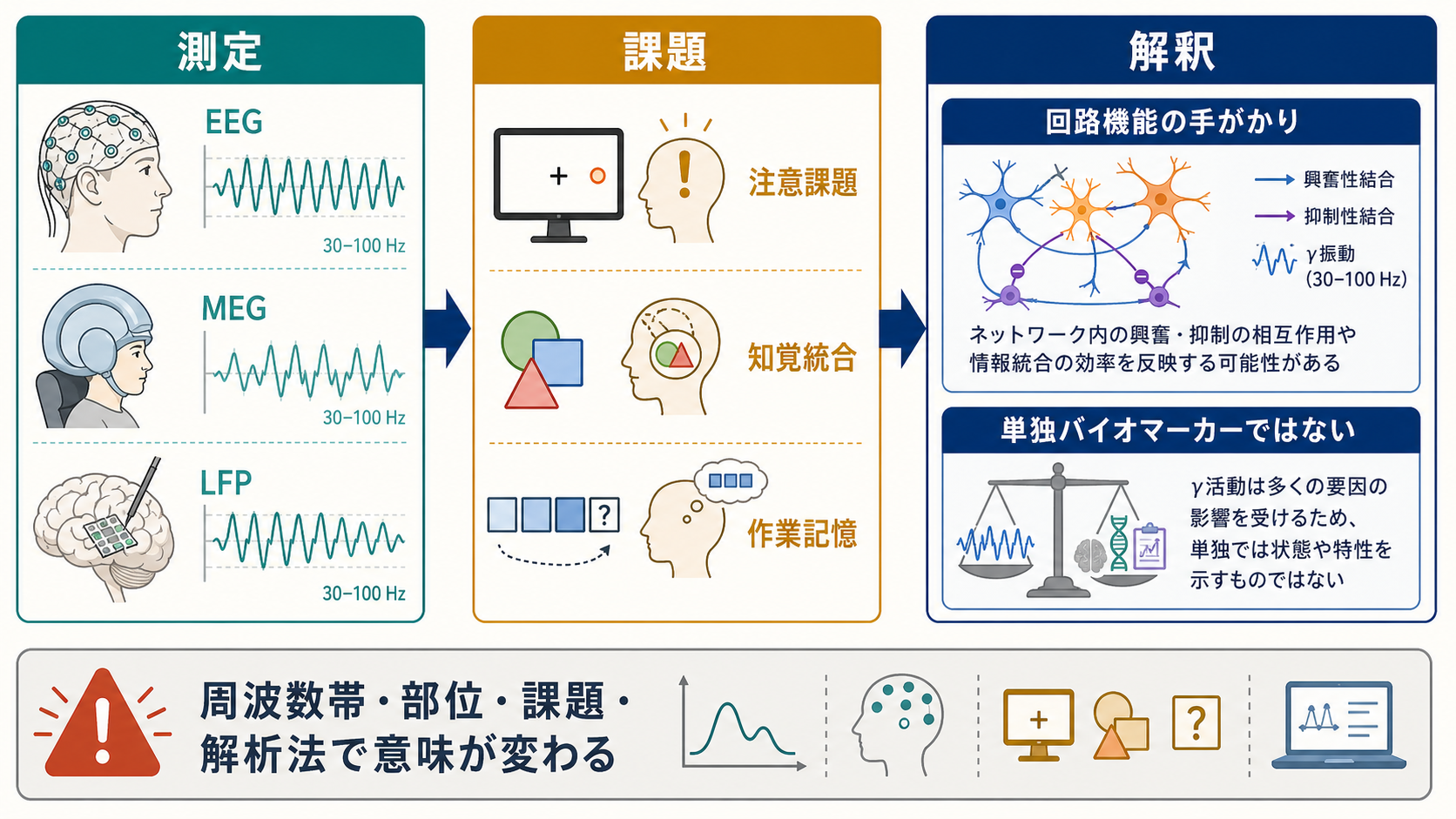 側方抑制の研究・モデルとの接続